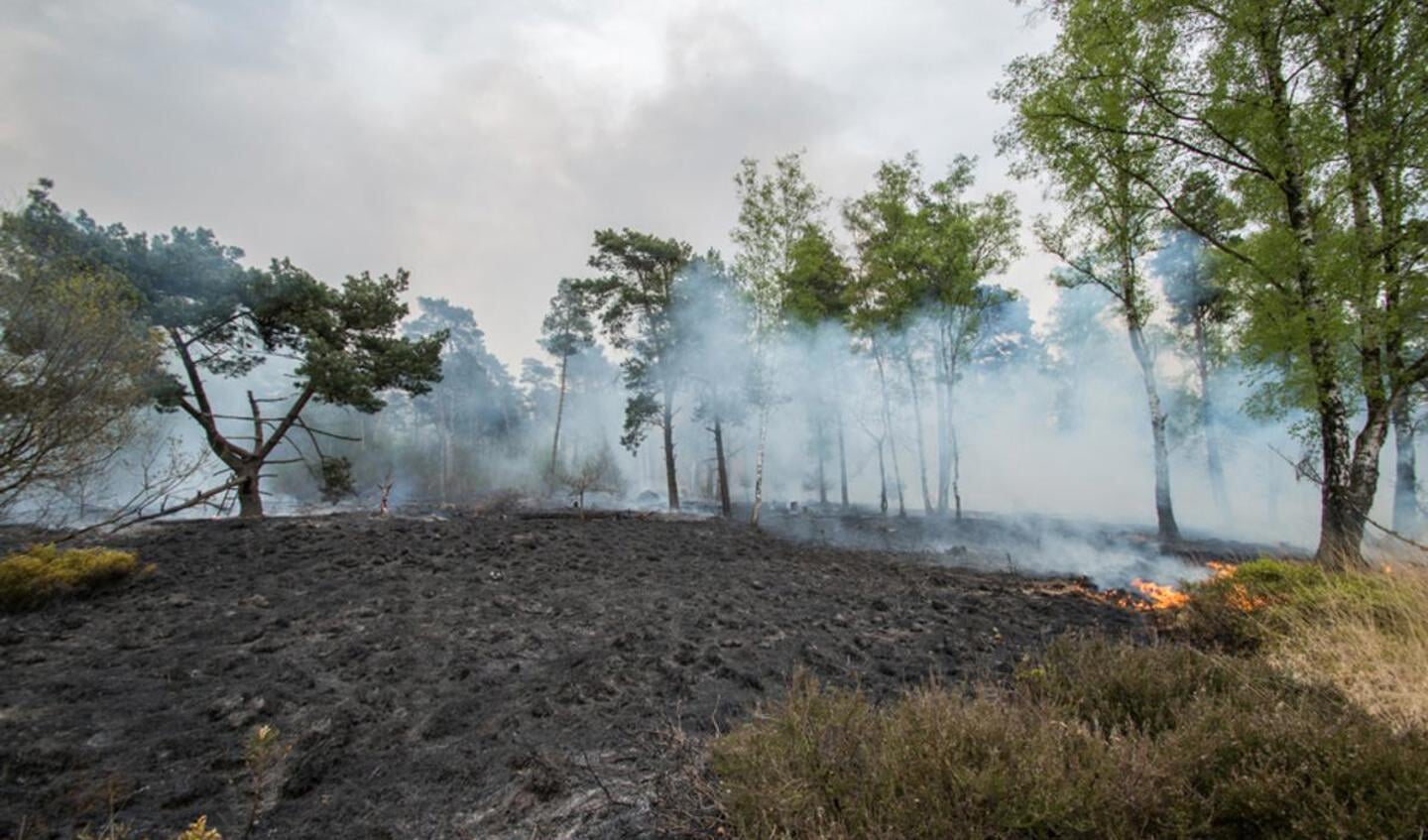 Donderdag 17 april werd zo'n 10 hectare van het Mastbos verwoest door een bosbrand. foto Luuk Koenen / SQ Vision