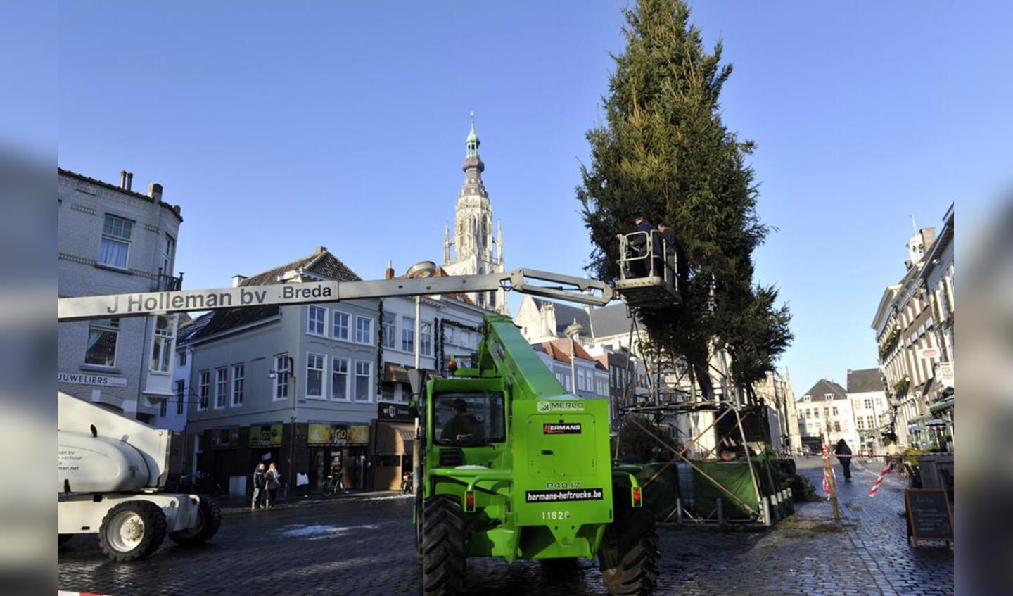 De kerstboom op de Grote Markt staat weer sinds 8 december. foto Janet Olde Wolbers