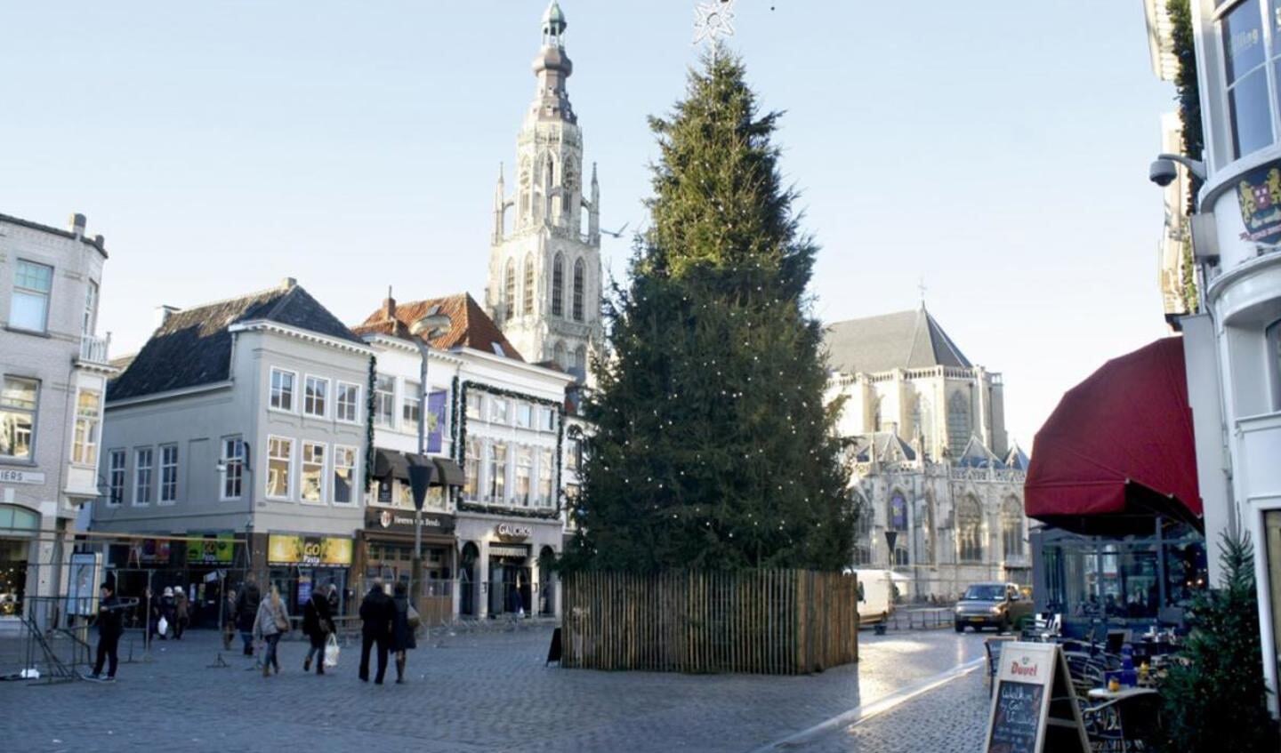 De Kerstboom op de Grote Markt. foto Sjoerd Lips
