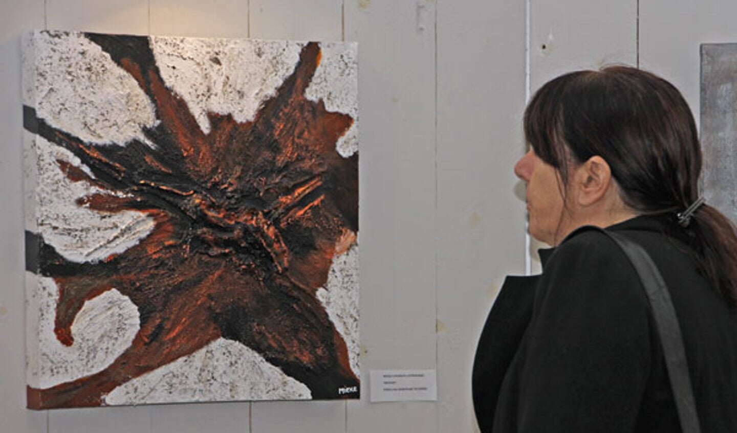 Kunst kijken in Princenhage tijdens de jaarlijkse kunstroute. foto Jorgen Janssens