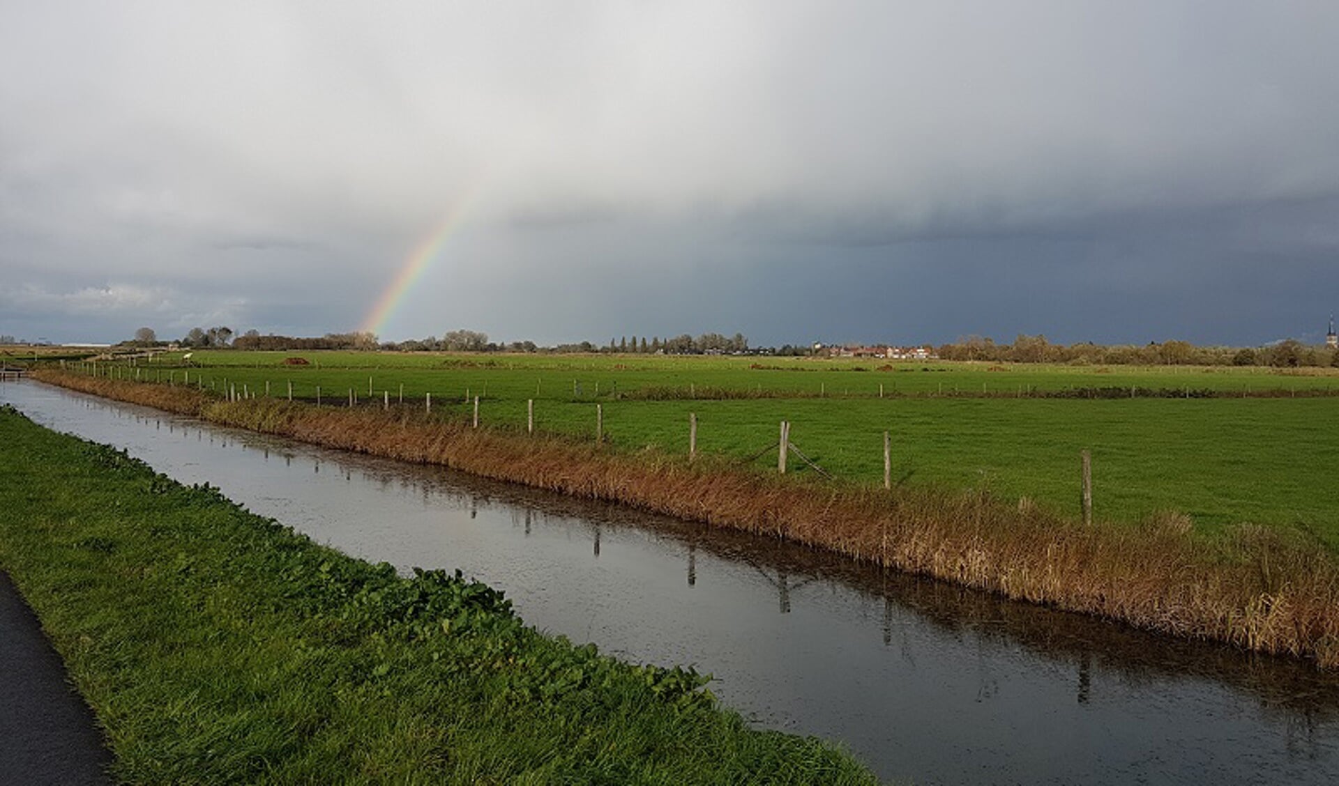 Buienwolk met regenboog boven de Haagse Beemden polder