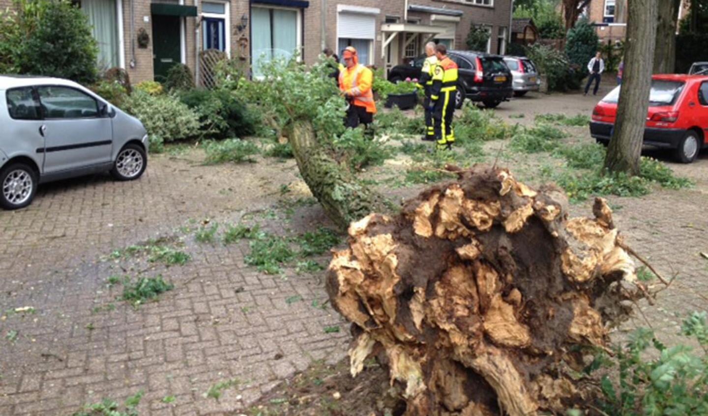 Op diverse plaatsen in Breda bleek de wind voor schade te zorgen. foto Erik Eggens