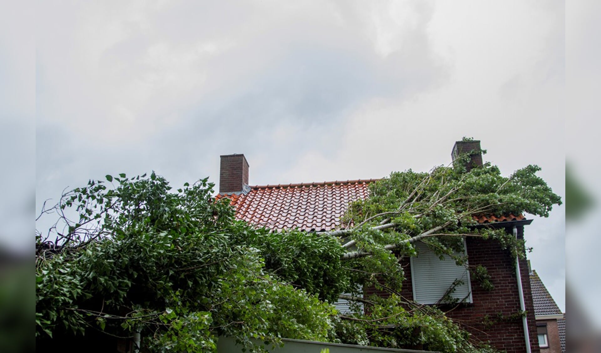 Stormschade Bolbergseweg, 5 juli 2015.