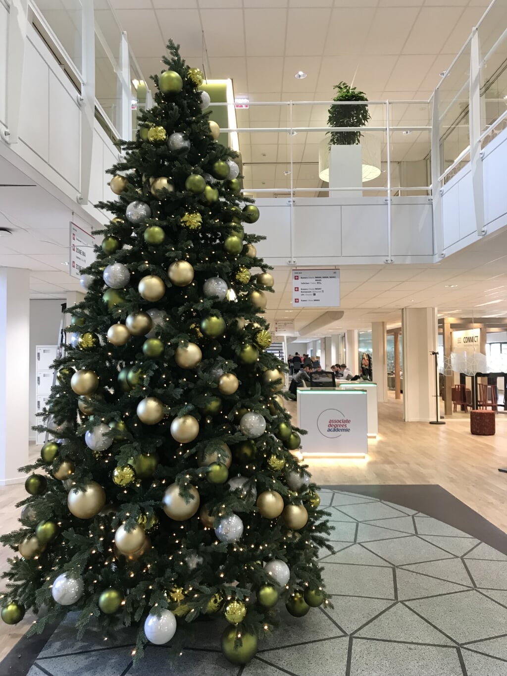 De kerstboom in de ontvangsthal van de Associate degrees Academie