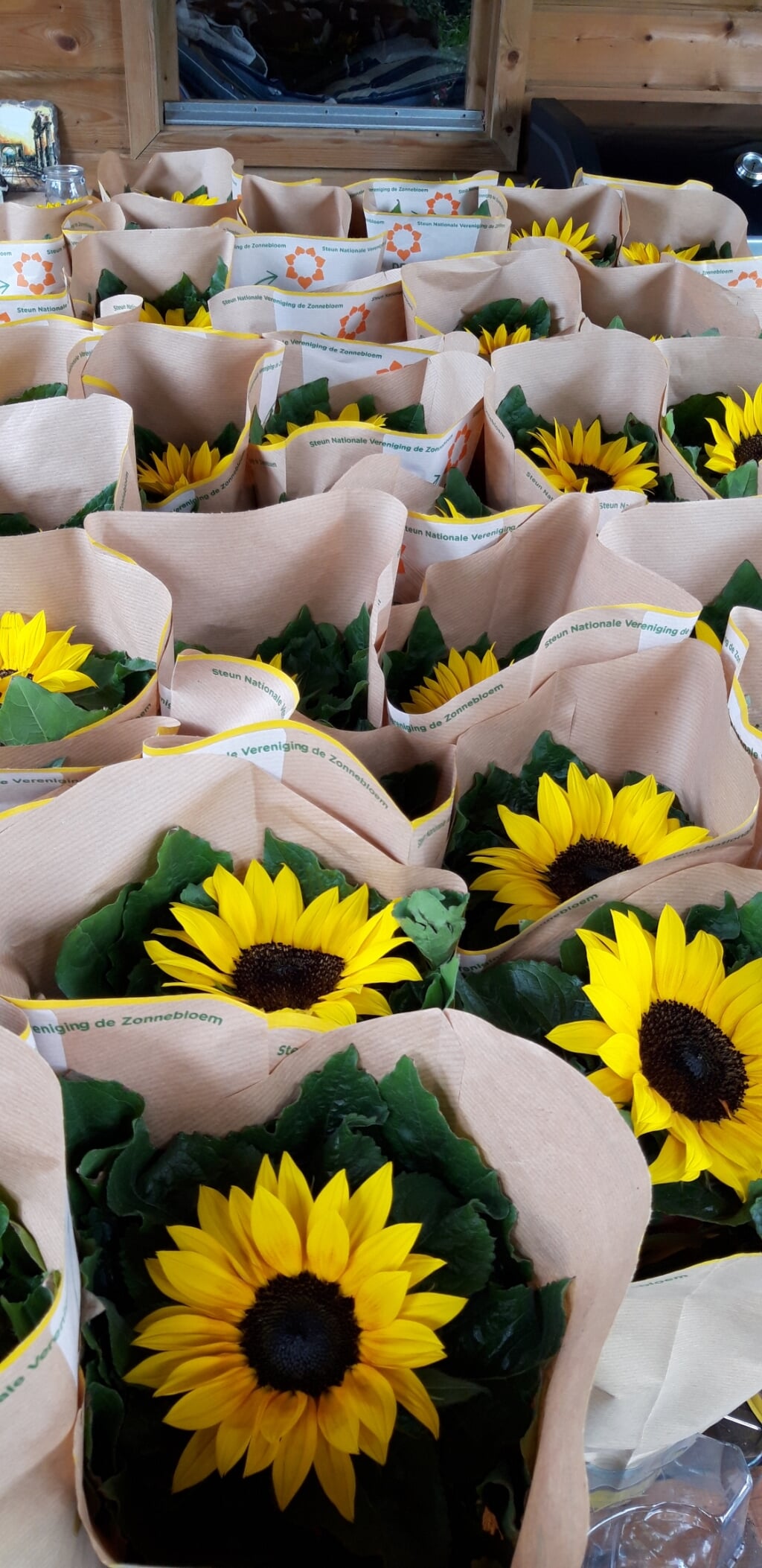 zonnebloemen voor de verkoop  FOTO: DIMPHIE COREMANS