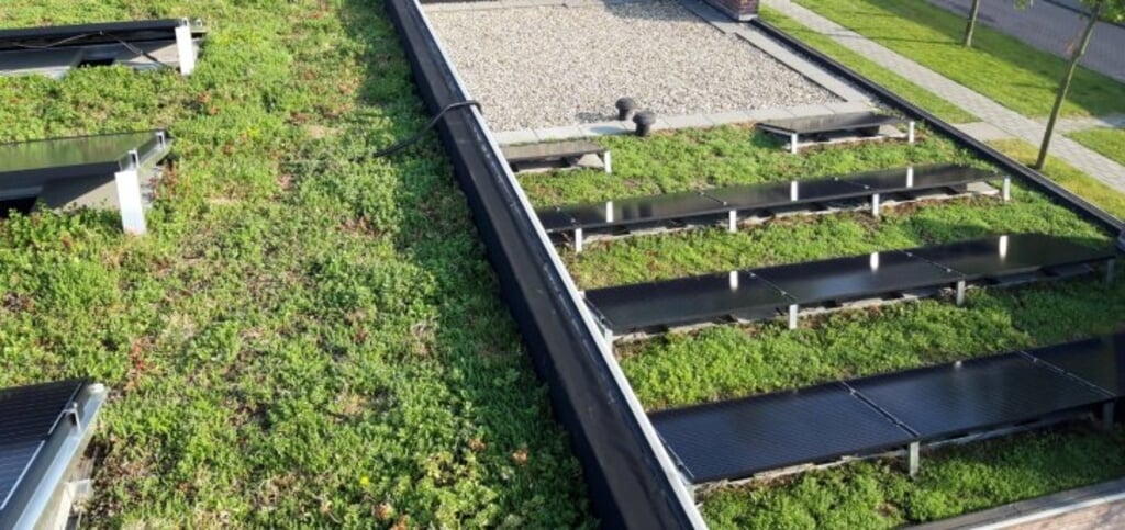 Beplanting op het dak biedt allerlei voordelen.