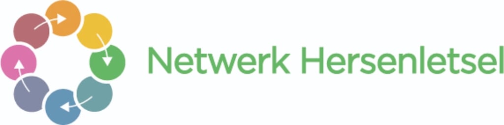 Logo Netwerk Hersenletsel