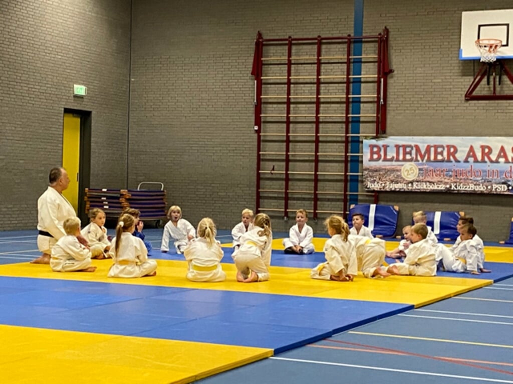 Voorbereiding Try-out judo
