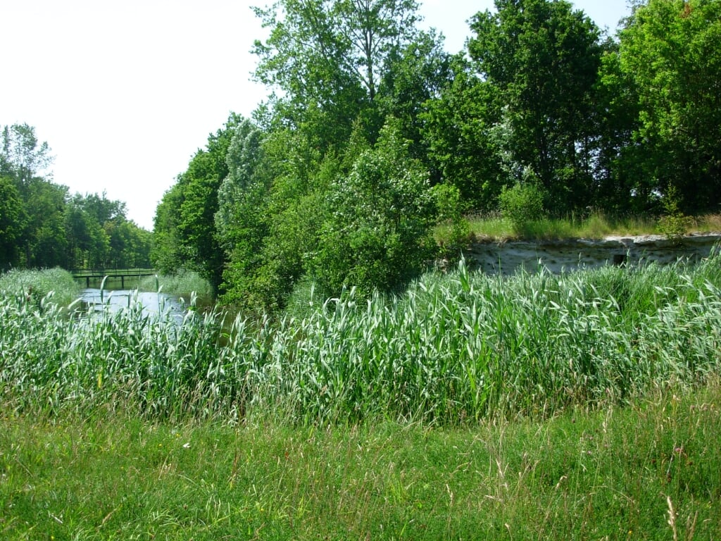 Waterlandschap