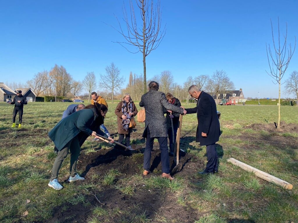 Burgemeester Ruud van den Belt en een aantal ambtenaren planten de eerste boom.