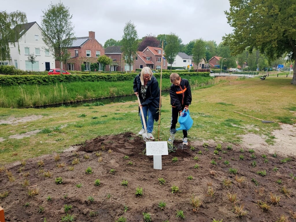 Wethouder Baartmans en haar kleinzoon Robin voeren samen de plantwerkzaamheden uit.