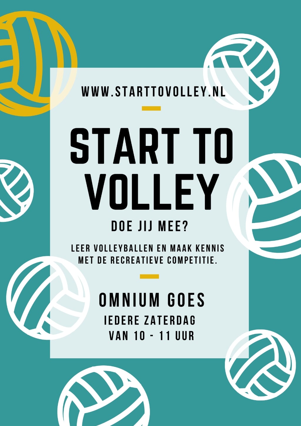 Poster Start to Volley