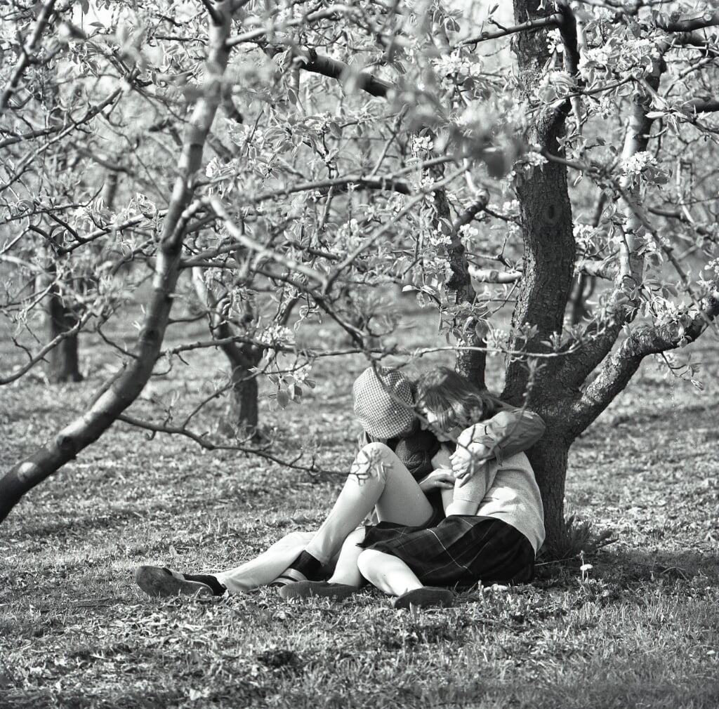 Kan het romantischer? Verliefd koppeltje in een bloeiende boomgaard – 1964