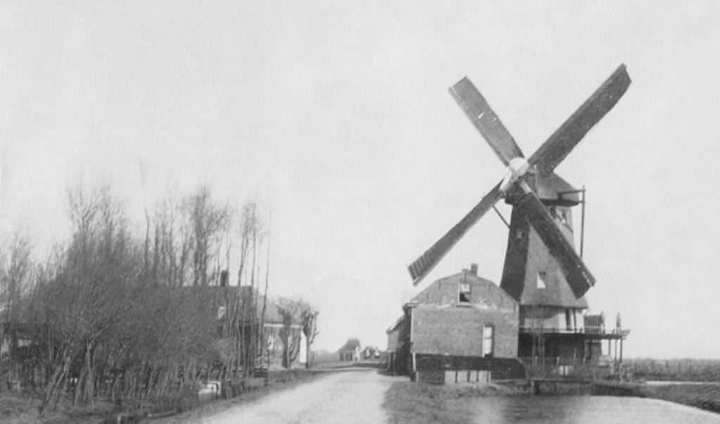 Korenmolen Windlust in het jaar 1900. 