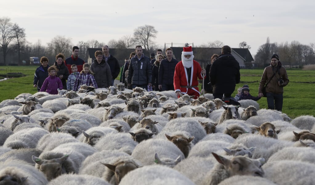 De schaapskudde, de Kerstman en kinderen. 