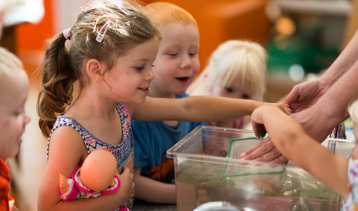 Kinderen op KDV Joriaantje verschonen het aquarium.