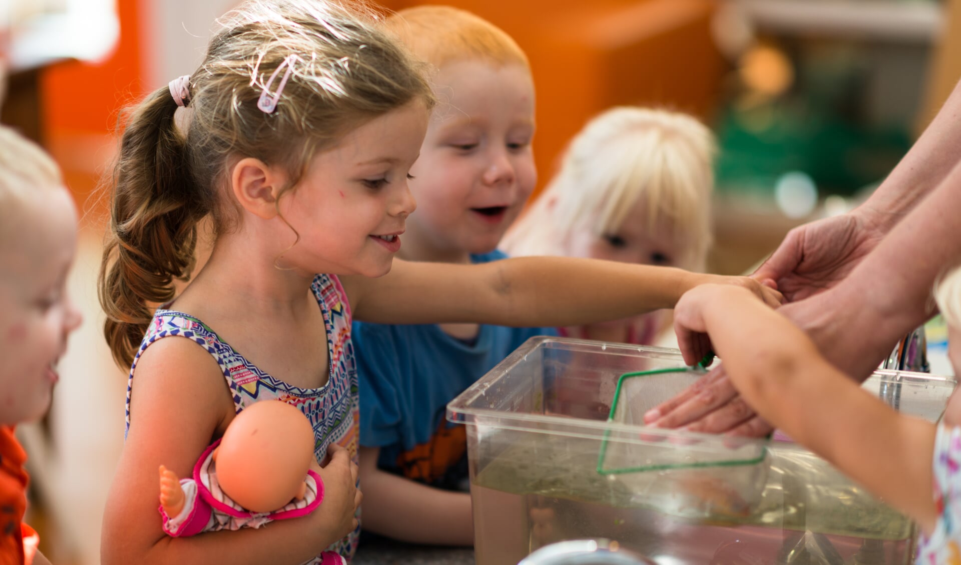 Kinderen op KDV Joriaantje verschonen het aquarium. 