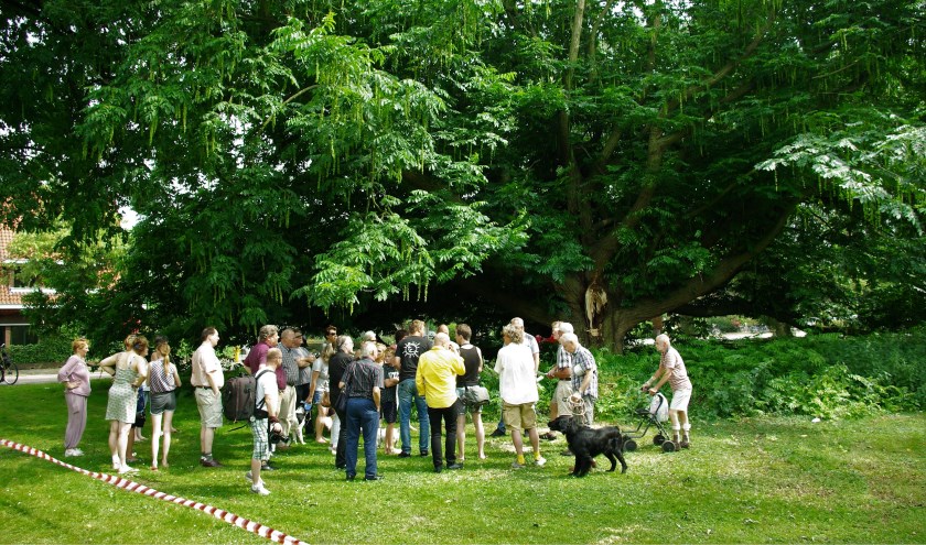 Delftenaren komen in actie als blijkt dat een monumentale boom in het Wilhelminapark dreigt te worden gekapt. Met succes. De gemeente besluit de boom voorlopig te sparen en meer onderzoek te doen.