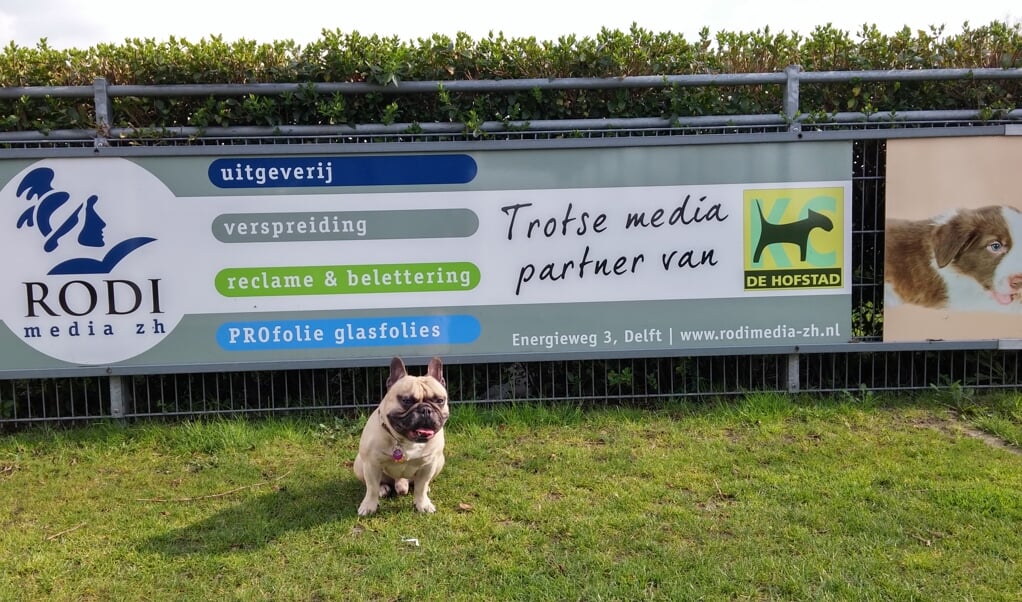 RODI staat achter KC De Hofstad - èn een hond. 