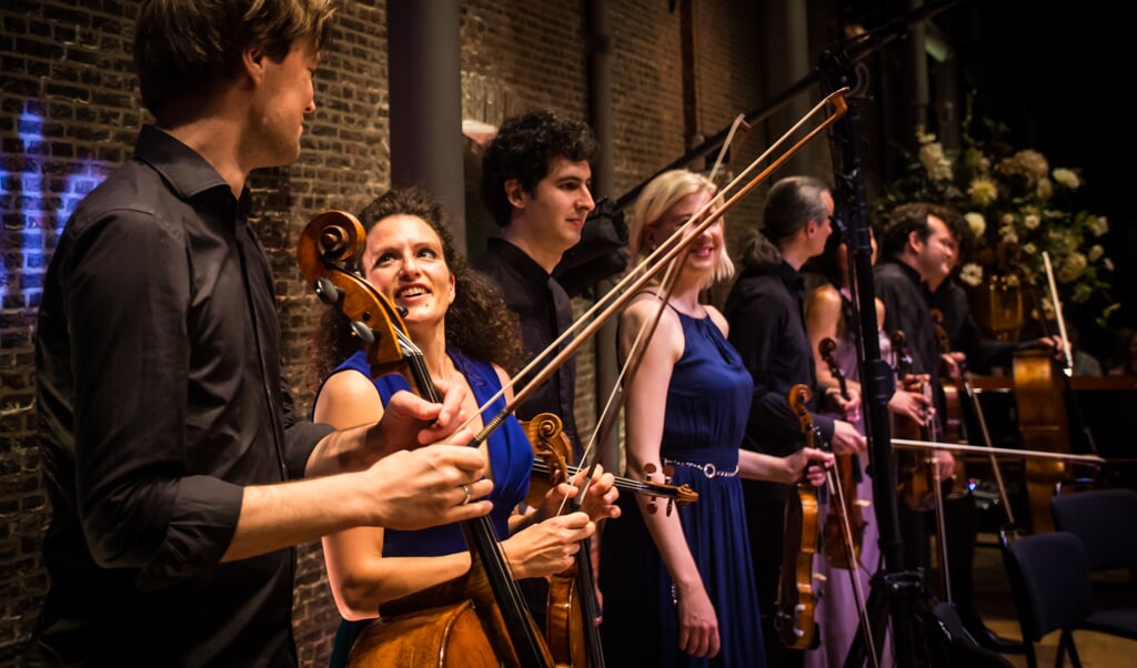 Muzikanten tijdens het Delft Chamber Music Festival 2016. (foto: Ronald Knapp)