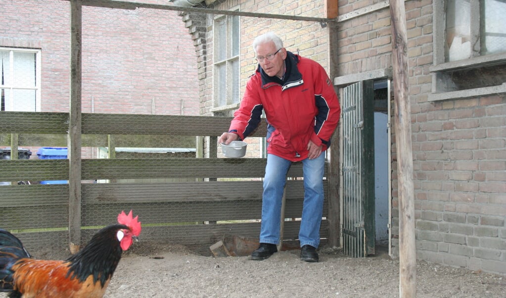 Janus voert de kippen op zorgboerderij BuitenGewoon