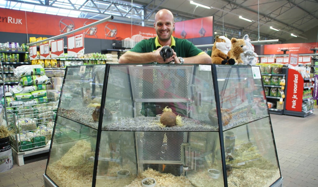 Specialist Sander Brouwers van de afdeling Dier en Vijver toont een cavia of is het een marmotje?