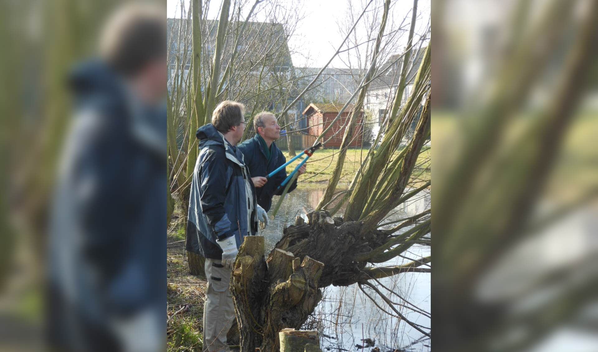 De KNNV afdeling Delfland kan wel wat hulp gebruiken. 