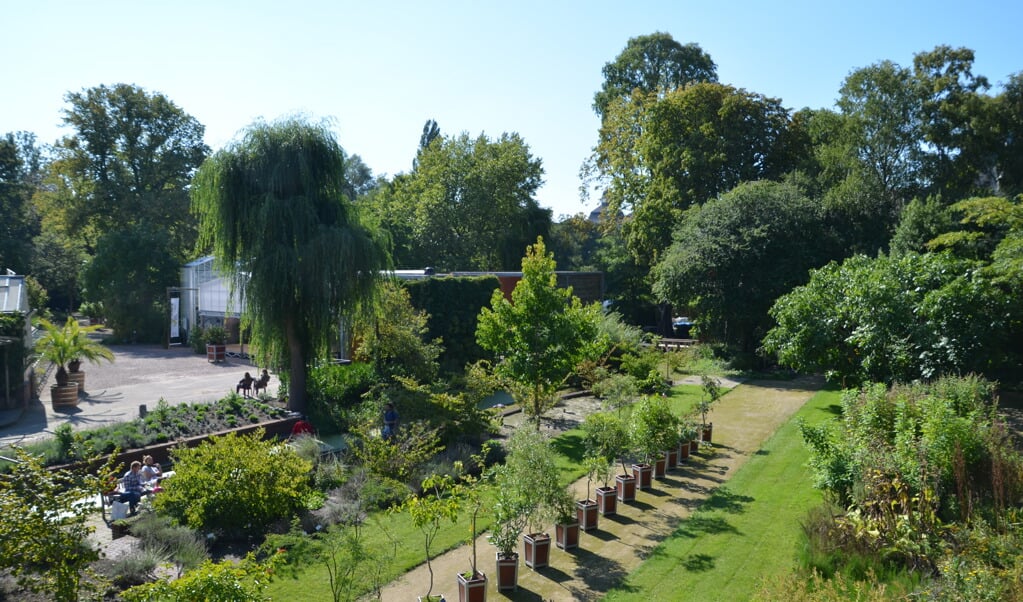 De Botanische tuin van de TU bestaat 100 jaar. (Foto: Foto: Wikimedia Commons/Natuur12)