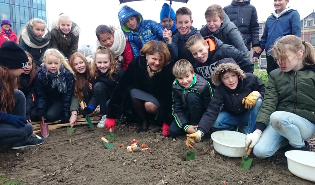 Burgemeester Marja van Bijsterveldt plant een aantal tulpen samen met leerlingen van groep 8 van de Max Havelaarschool.