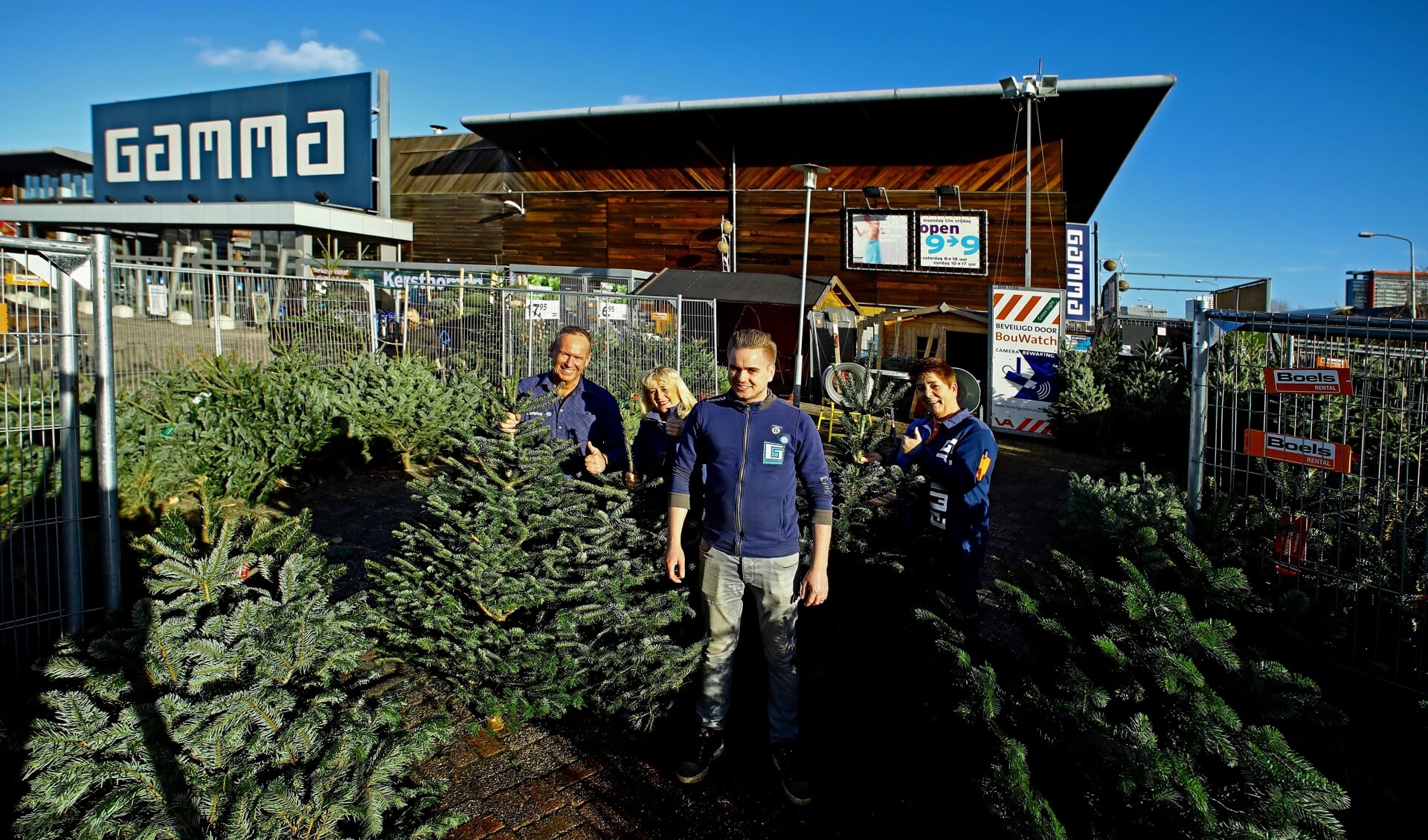 Het team van GAMMA Delft verkoopt weer de prachtigste Nordmann kerstbomen (Foto: Koos Bommelé)