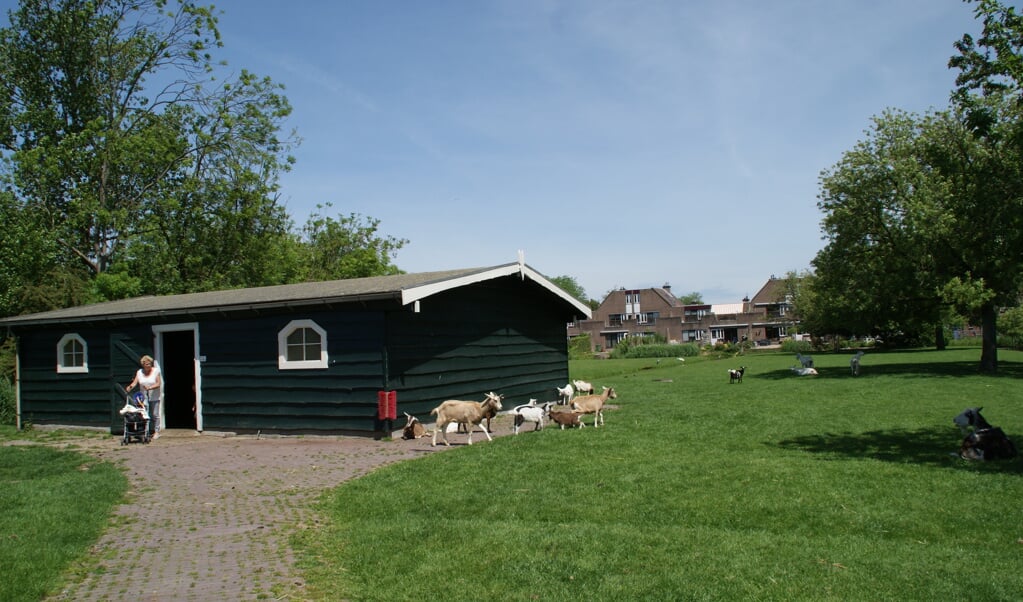 De kinderboerderij nabij de waterspeeltuin in Tanthof, beide zijn het prachtigespeelgelegenheden.