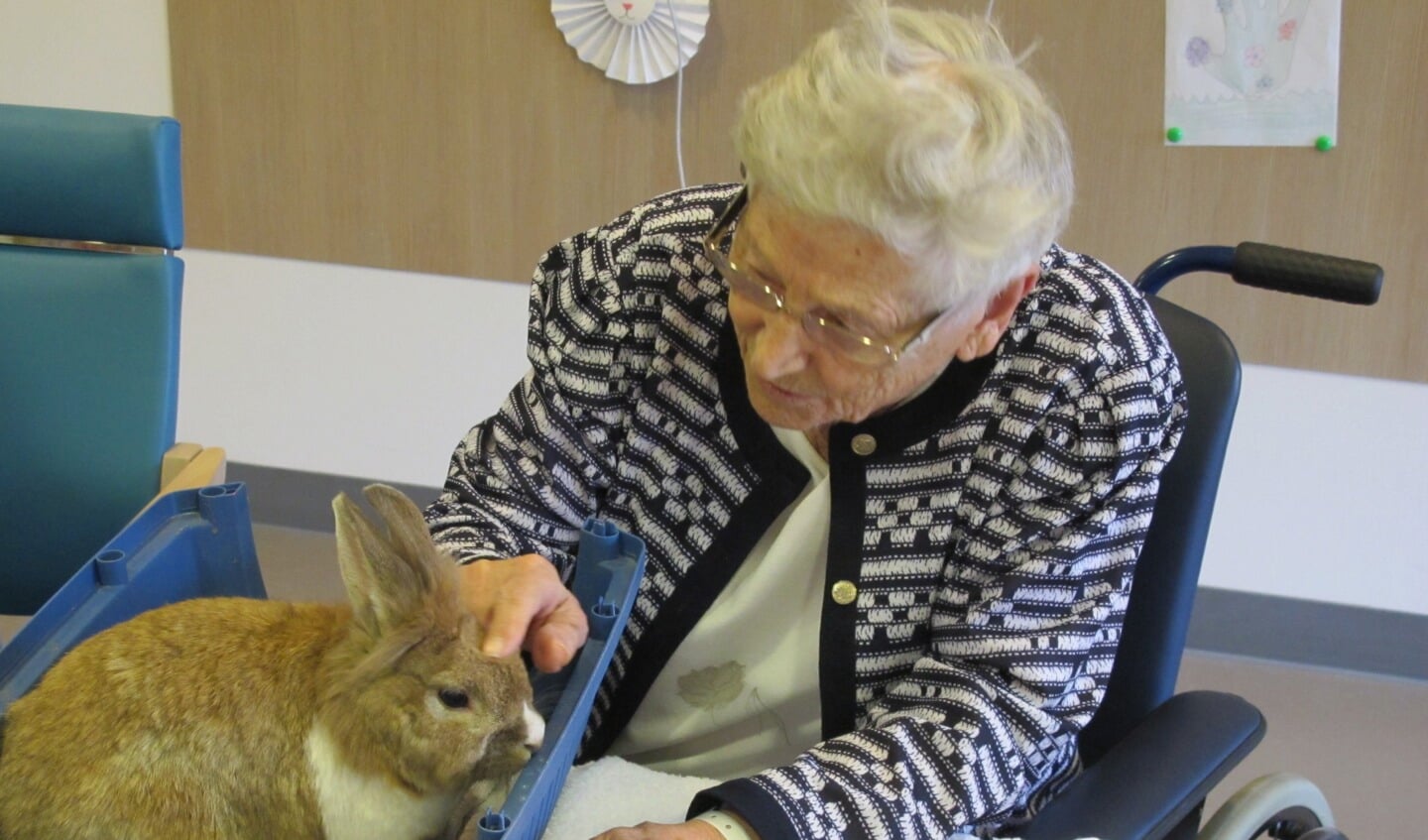 Tijdens het Dierenuurtje konden oudere patiënten knuffelen met konijnen en cavia's, met een positief effect op hun geest.