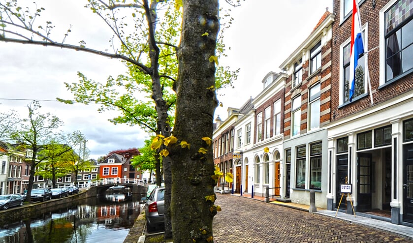 HuisKinesis met foto-exposities om blij van te worden.