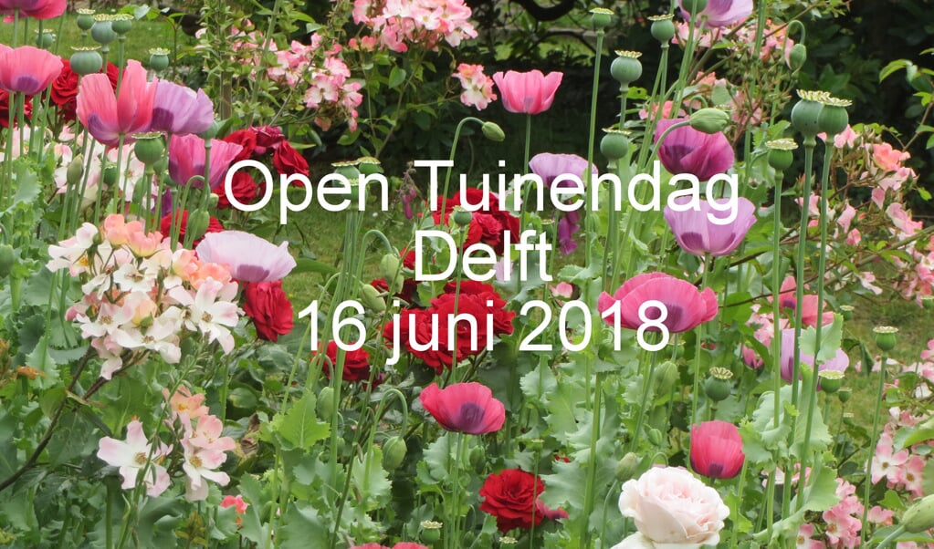 Bezoek verrassende tuinen met de Open Tuinendag op 16 juni