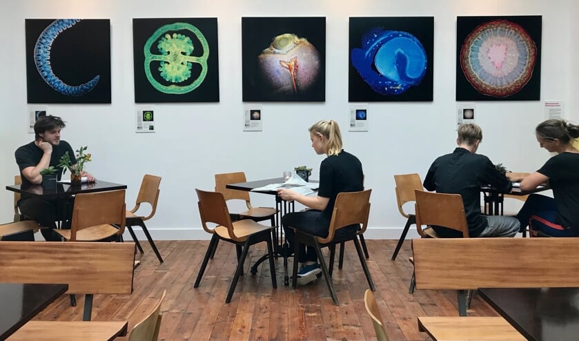 Microkunstwerken in De Salon