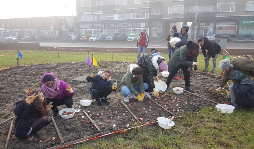Leerlingen van de Parkschool helpen bij het poten van tulpenbollen op het Poptahofveld