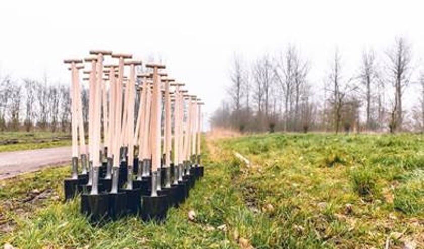 boomplantdag in het Bieslandse bos nabij Delft