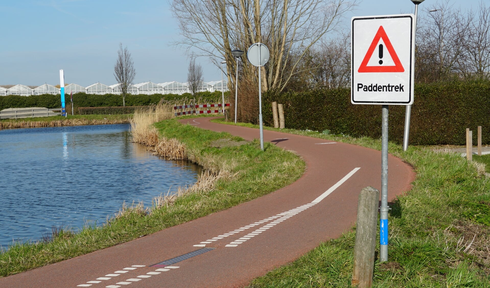 De padden kunnen ook platgereden worden op fietspaden, let dus goed!