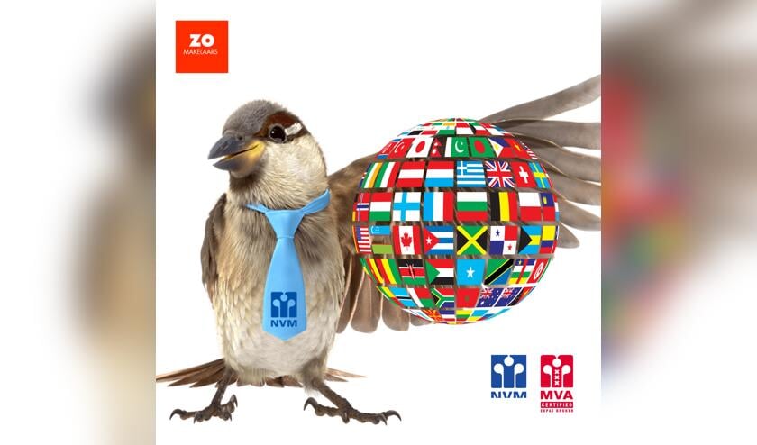 Het aandeel van MVA Certified Expat Broker in Haaglanden zal de komende maanden fors stijgen.