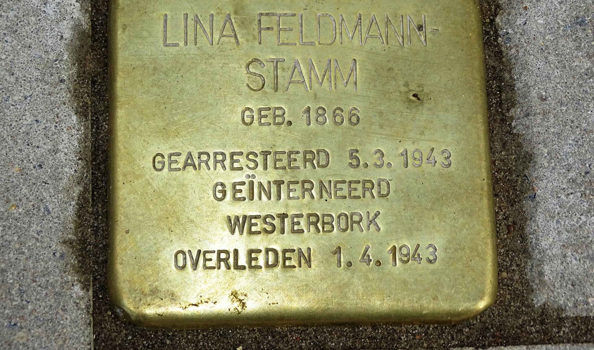 Aan de Rotterdamseweg ligt sinds 2019 een herinneringssteen voor één van de Delftse Joodse slachtoffers. (Foto: Ton de Ruiter, Stadsarchief Delft)