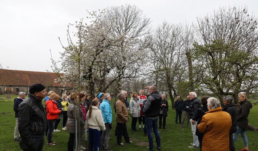De bloesem stond prachtig in bloei