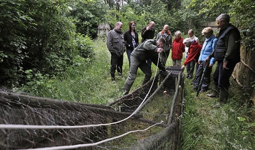 Op excursie naar eendenkooi Aalkeetbuiten