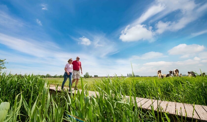 Op de nieuwe website vind je informatie over wandelen door Midden-Delfland