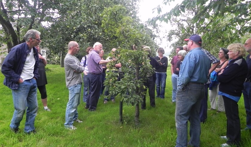 Aandachtige toehoorders tijdens de workshop snoeien in de boomgaard.