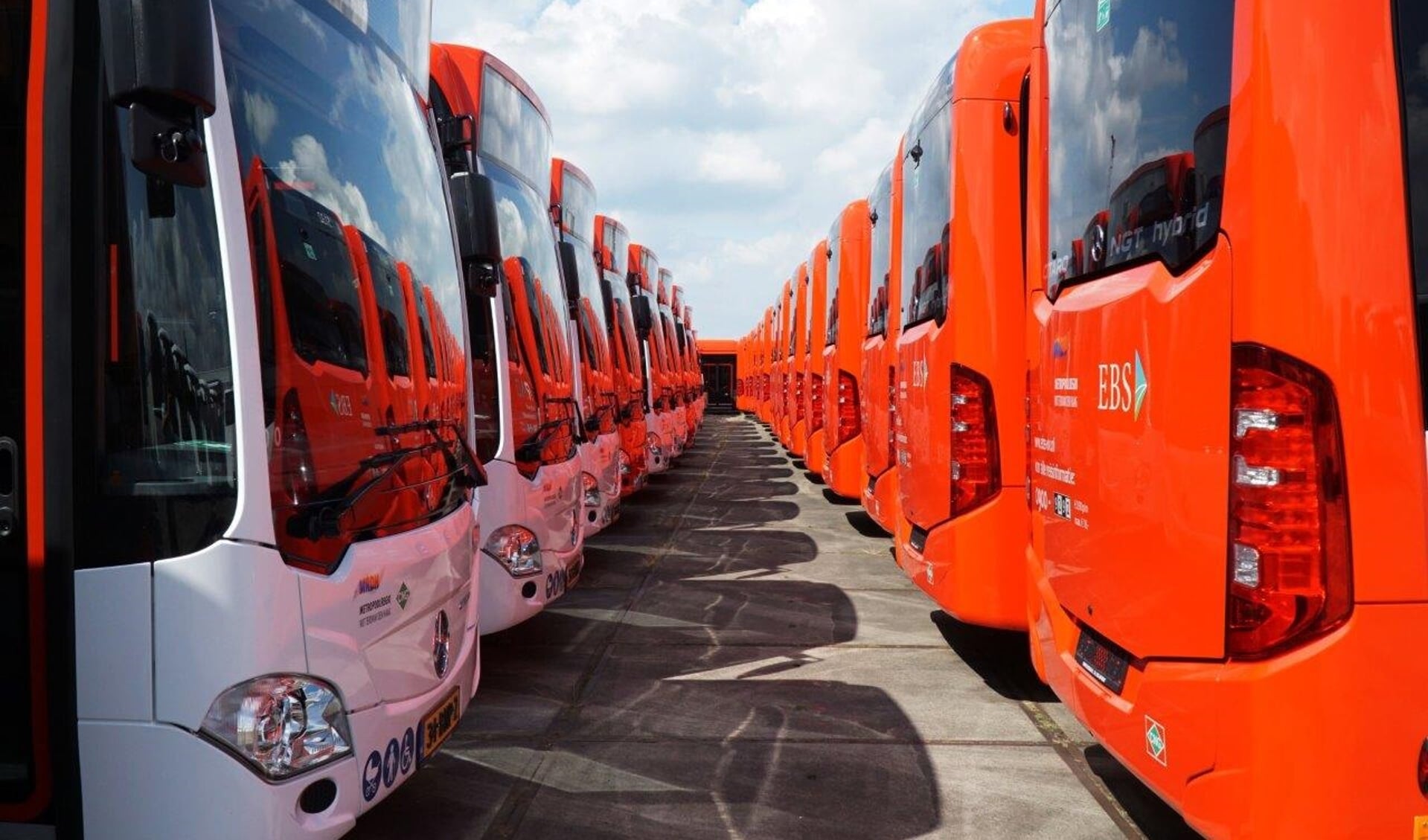 De bussen van EBS, de nieuwe steekvervoerder voor Haaglanden, in rangorde opgesteld (Foto: Harry Laming) 