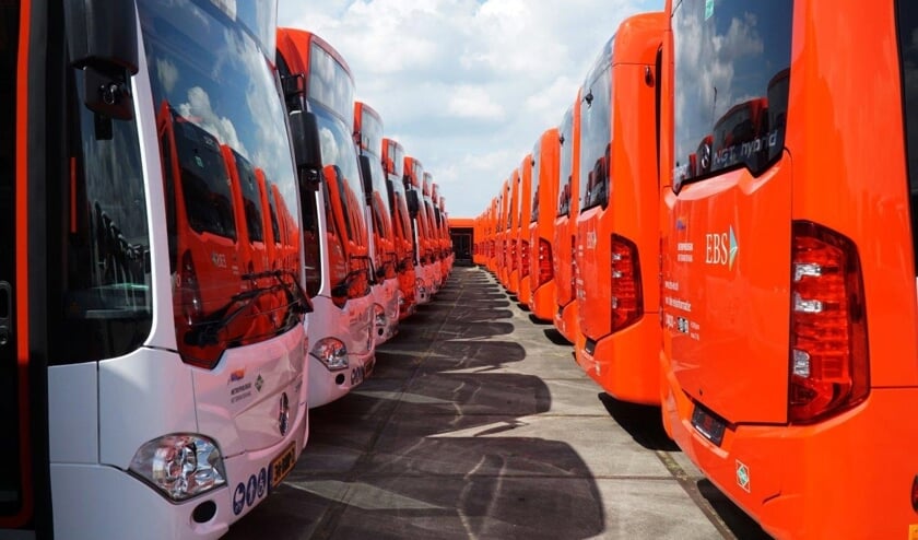 De bussen van EBS, de nieuwe steekvervoerder voor Haaglanden, in rangorde opgesteld (Foto: Harry Laming)