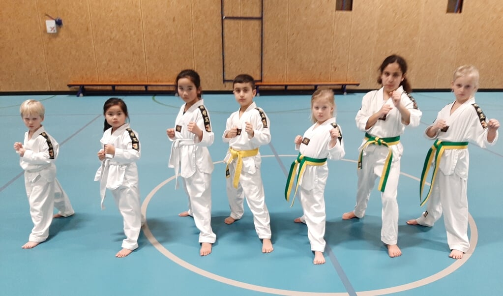 Taekwondo is voor alle leeftijden. Je kunt al jong beginnen. (Foto: PR) 