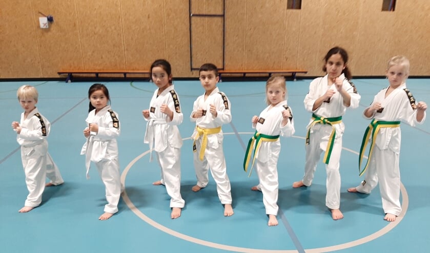 Taekwondo is voor alle leeftijden. Je kunt al jong beginnen. (Foto: PR)