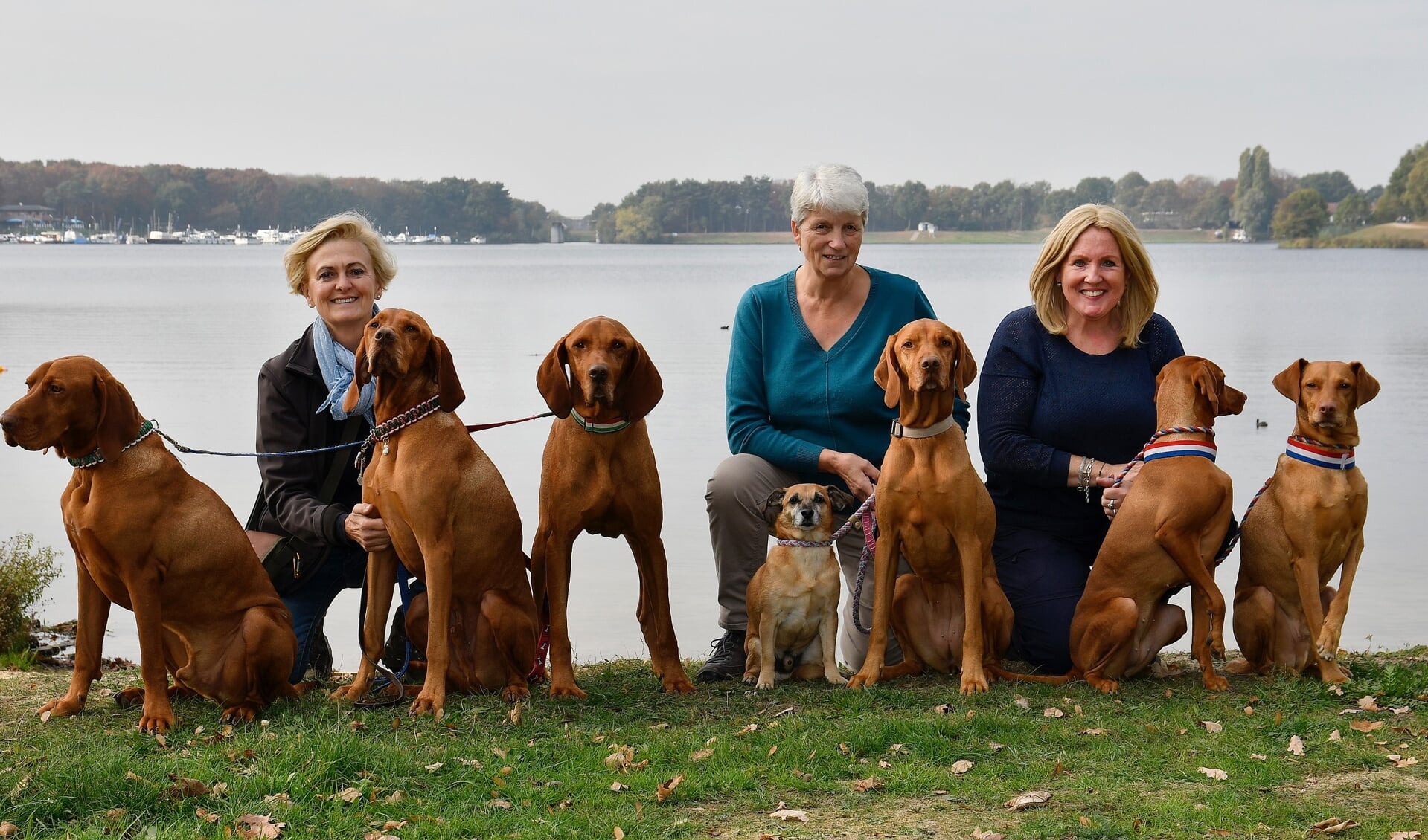 Andrea Nagy, Annette Stolk en Henriëtte Niessing van Stichting Dierenhulp Hongarije met hun honden