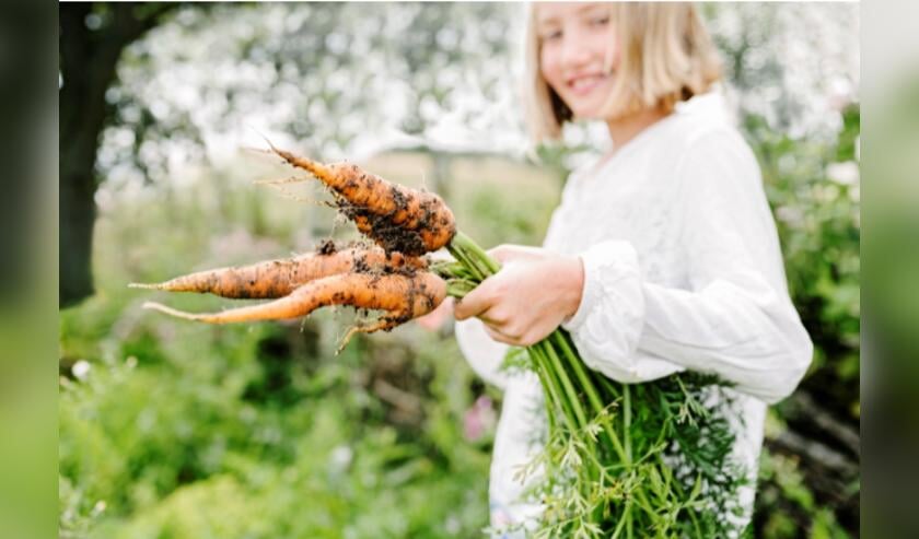 Kindertuinen Delft zoekt Hendrik(a) Jan(na) de tuinman/vrouw!
